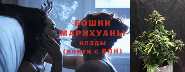 твердый Елабуга