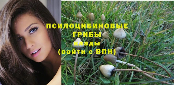 СК Елизово