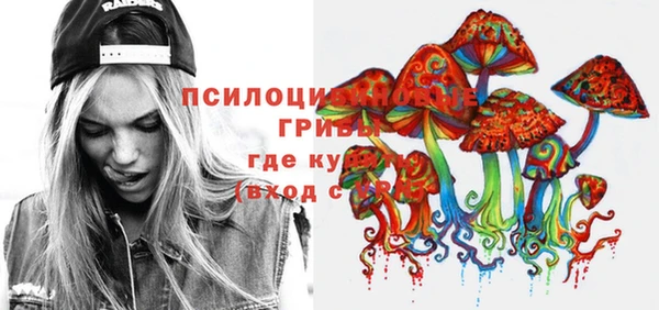 твердый Елабуга