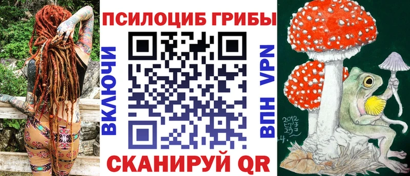 omg зеркало  как найти наркотики  Новочеркасск  Псилоцибиновые грибы мухоморы 